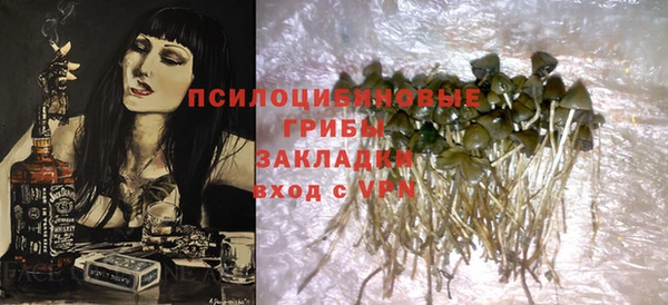 крисы Арсеньев