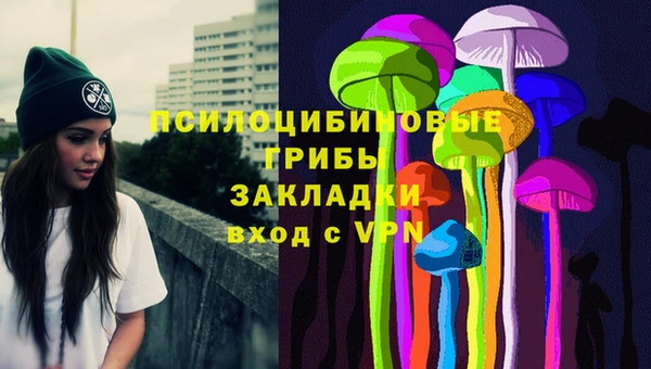 крисы Арсеньев