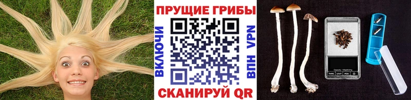 Галлюциногенные грибы прущие грибы  закладки  Асбест 